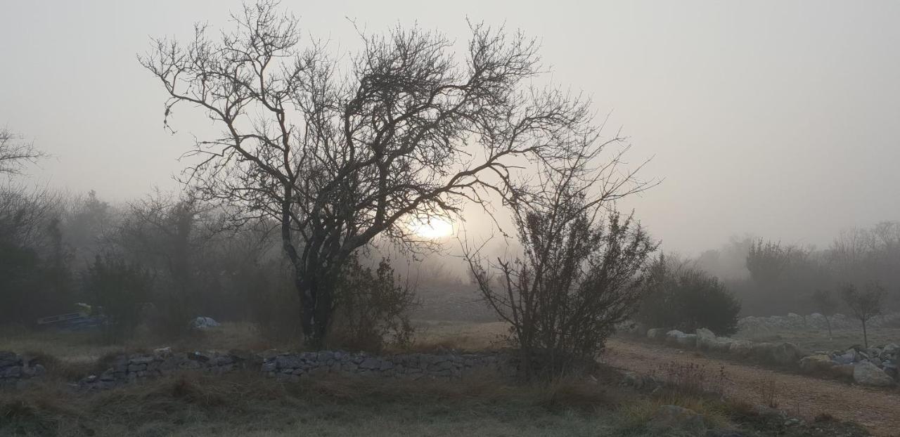 Gites Du Combeau Saint-Maurice-dʼIbie エクステリア 写真