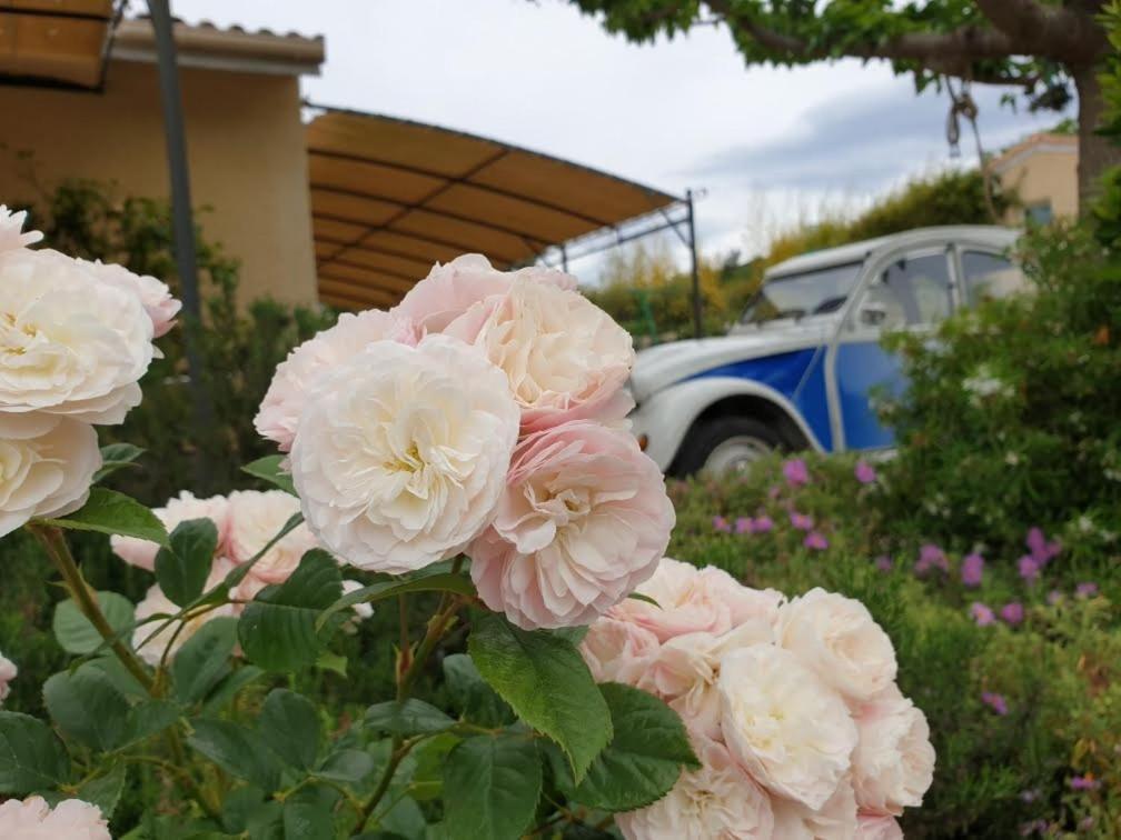 Gites Du Combeau Saint-Maurice-dʼIbie エクステリア 写真
