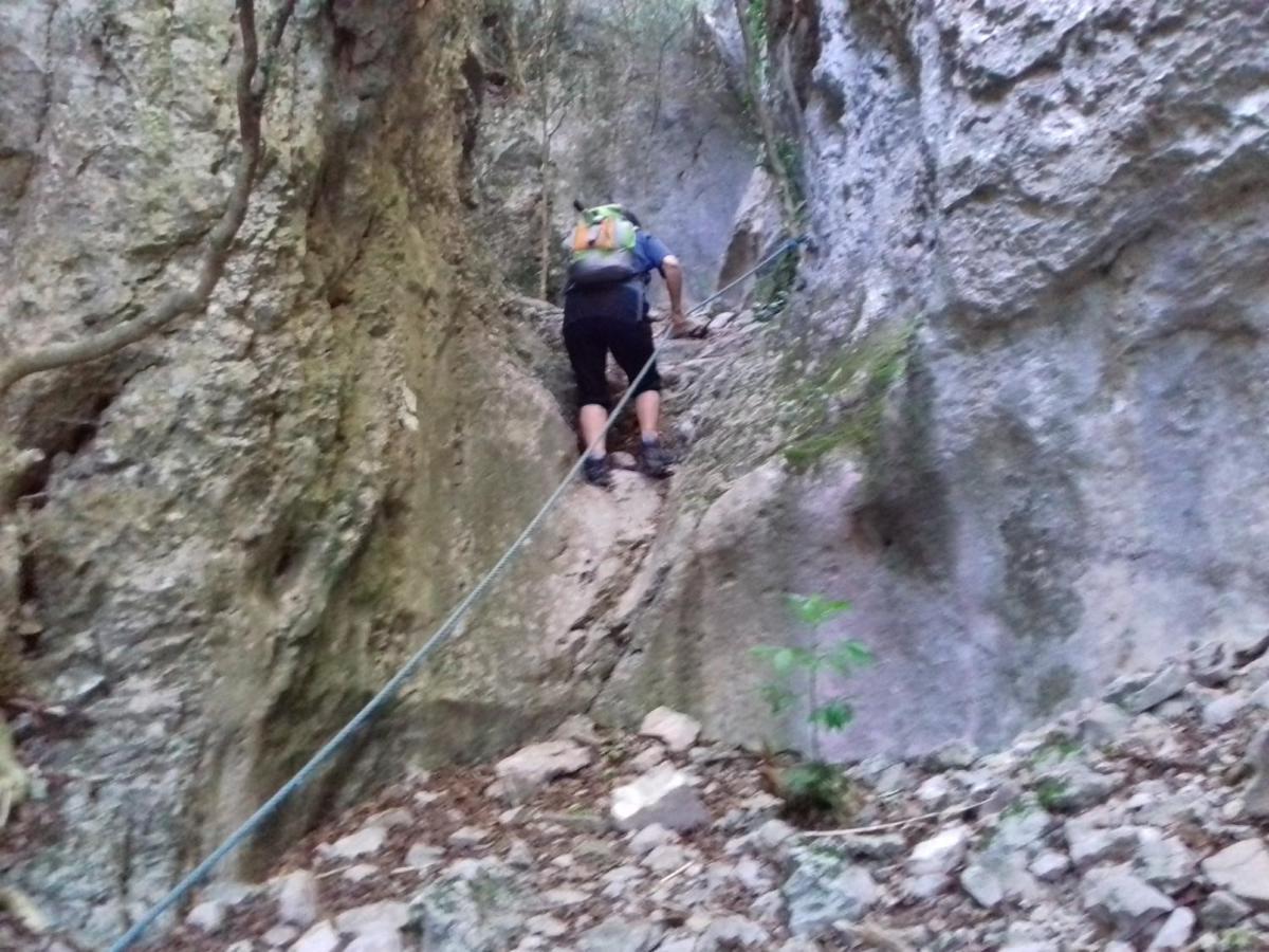 Gites Du Combeau Saint-Maurice-dʼIbie エクステリア 写真