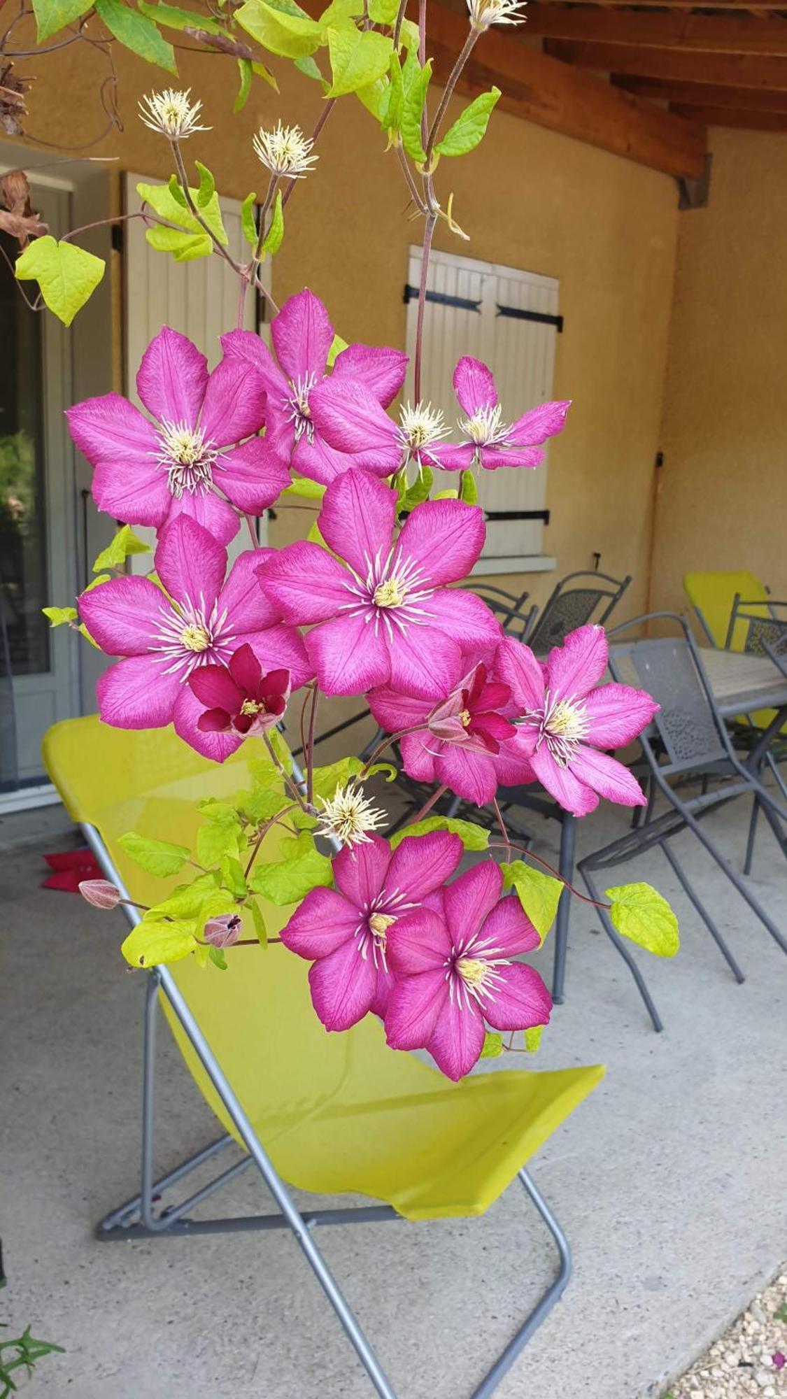 Gites Du Combeau Saint-Maurice-dʼIbie 部屋 写真